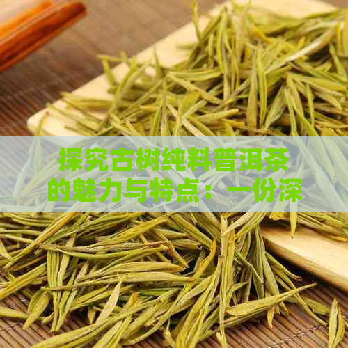 探究古树纯料普洱茶的魅力与特点：一份深度解读