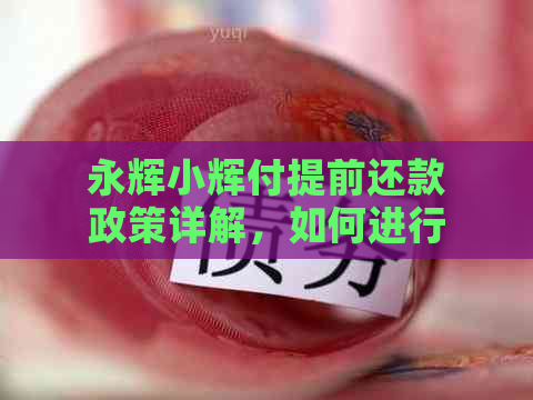 永辉小辉付提前还款政策详解，如何进行操作？