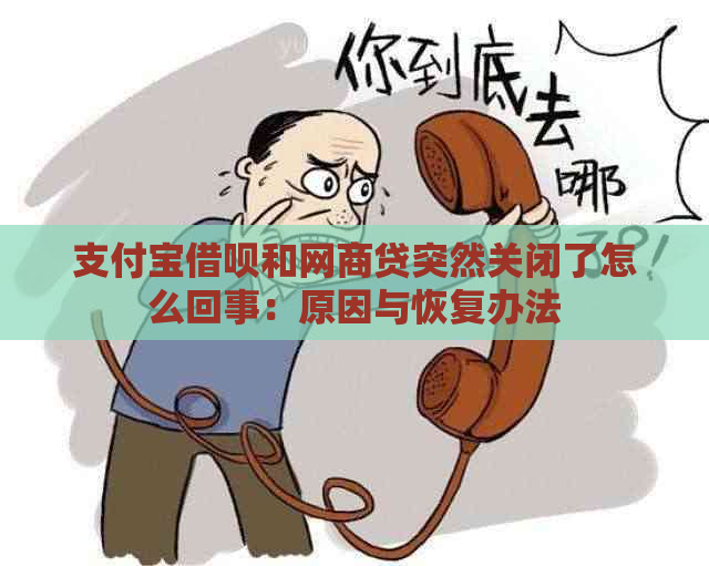 支付宝借呗和网商贷突然关闭了怎么回事：原因与恢复办法