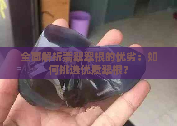 全面解析翡翠翠根的优劣：如何挑选优质翠根？