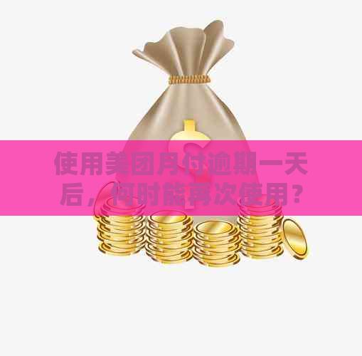 使用美团月付逾期一天后，何时能再次使用？