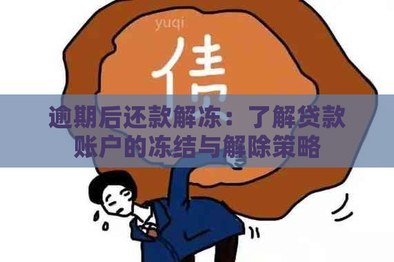 逾期后还款解冻：了解贷款账户的冻结与解除策略