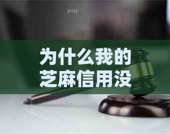 为什么我的芝麻信用没有信用生活选项-我的芝麻信用里怎么没有信用生活