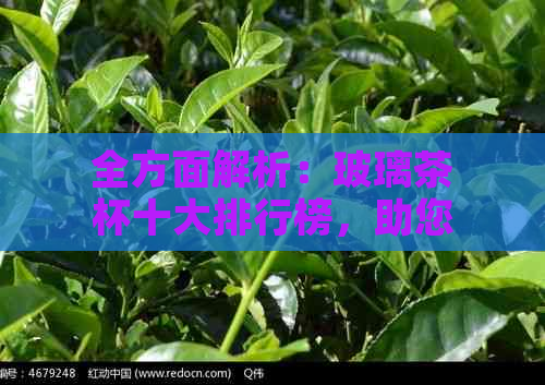 全方面解析：玻璃茶杯十大排行榜，助您轻松选购高质量茶杯