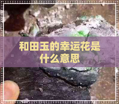 和田玉的幸运花是什么意思