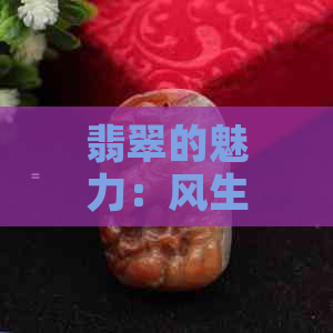 翡翠的魅力：风生水起，寓意吉祥与财富