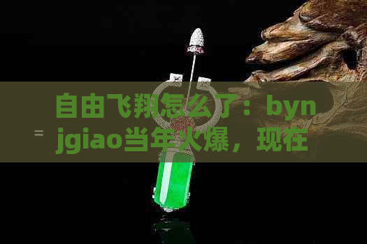 自由飞翔怎么了：bynjgiao当年火爆，现在何去何从？