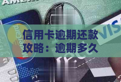 信用卡逾期还款攻略：逾期多久开始处理？如何避免进一步利息和罚款？