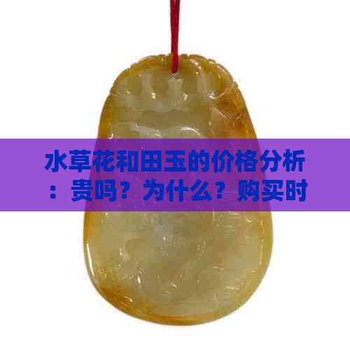 水草花和田玉的价格分析：贵吗？为什么？购买时应注意什么？