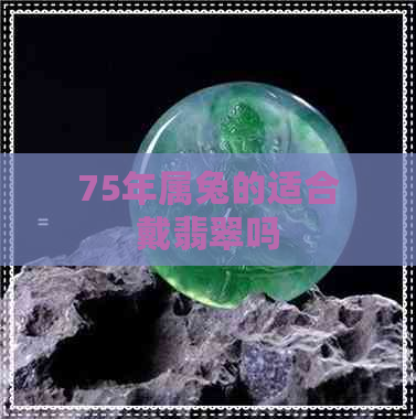 75年属兔的适合戴翡翠吗