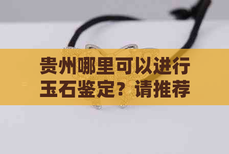 贵州哪里可以进行玉石鉴定？请推荐正规鉴定机构。