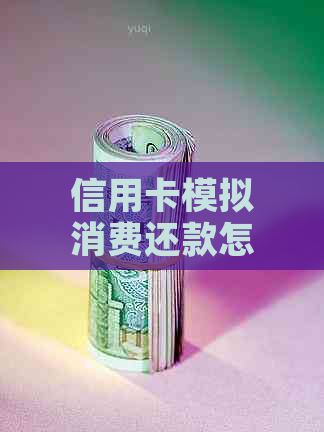 信用卡模拟消费还款怎么还不了？