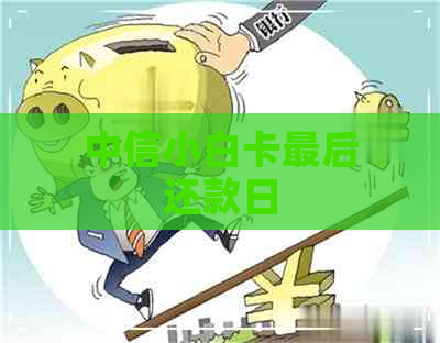 中信小白卡最后还款日