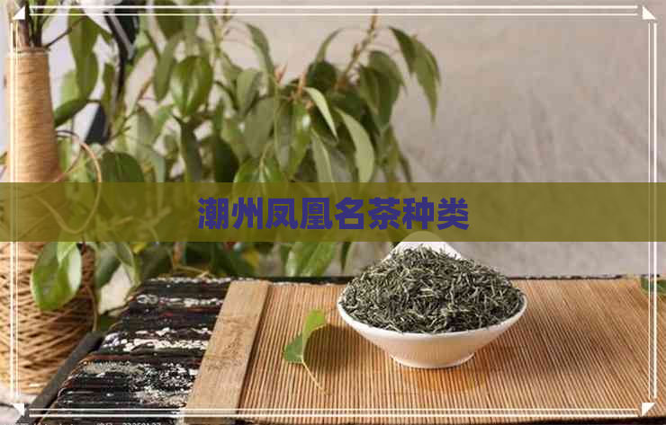 潮州凤凰名茶种类