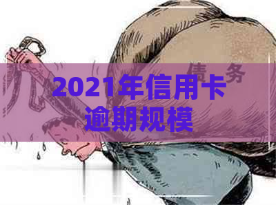 2021年信用卡逾期规模