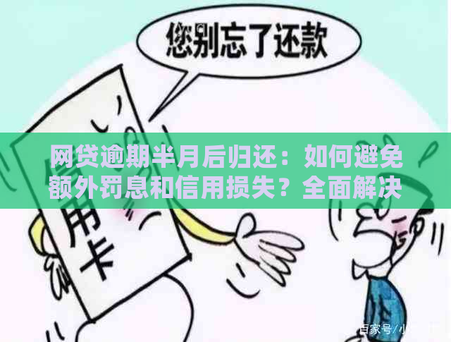 网贷逾期半月后归还：如何避免额外罚息和信用损失？全面解决方案一览