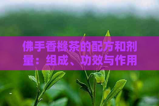 佛手香橼茶的配方和剂量：组成、功效与作用