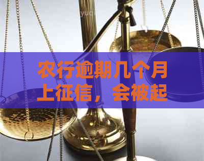 农行逾期几个月上，会被起诉吗？