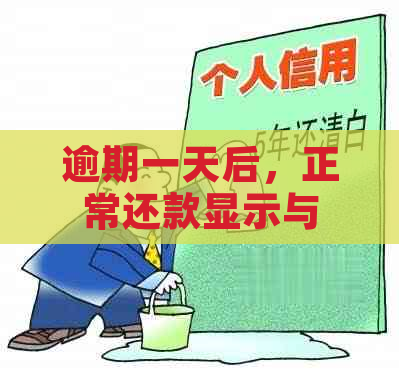 逾期一天后，正常还款显示与实际逾期情况不怎么办？