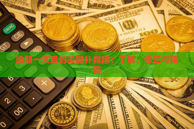 逾期一天后的关键补救措：了解、修正与预防