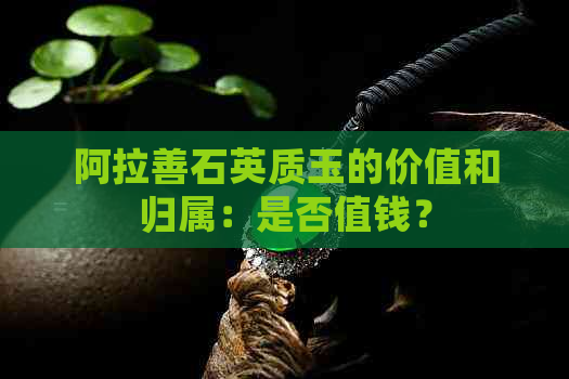 阿拉善石英质玉的价值和归属：是否值钱？