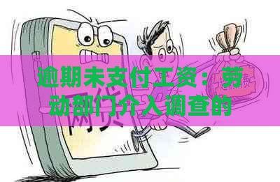 逾期未支付工资：劳动部门介入调查的合法性探讨