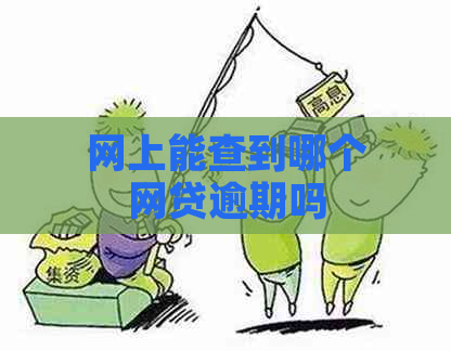 网上能查到哪个网贷逾期吗