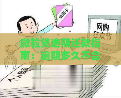 微粒贷逾期还款指南：逾期多久不会影响个人信用？如何避免坐牢？