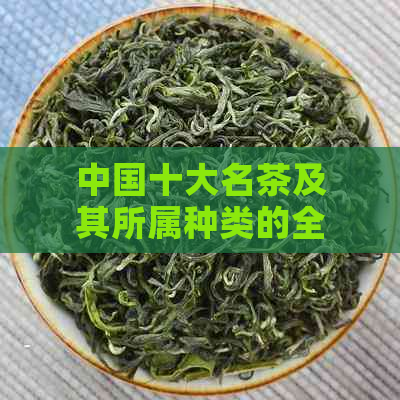 中国十大名茶及其所属种类的全面解析：了解每种茶叶的特点、产地和品饮方法