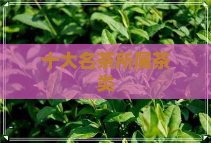 十大名茶所属茶类