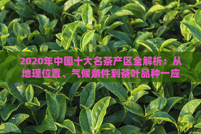 2020年中国十大名茶产区全解析：从地理位置、气候条件到茶叶品种一应俱全