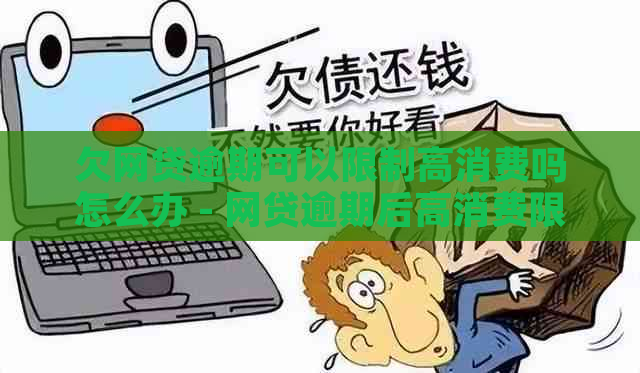 欠网贷逾期可以限制高消费吗怎么办 - 网贷逾期后高消费限制及解决方法