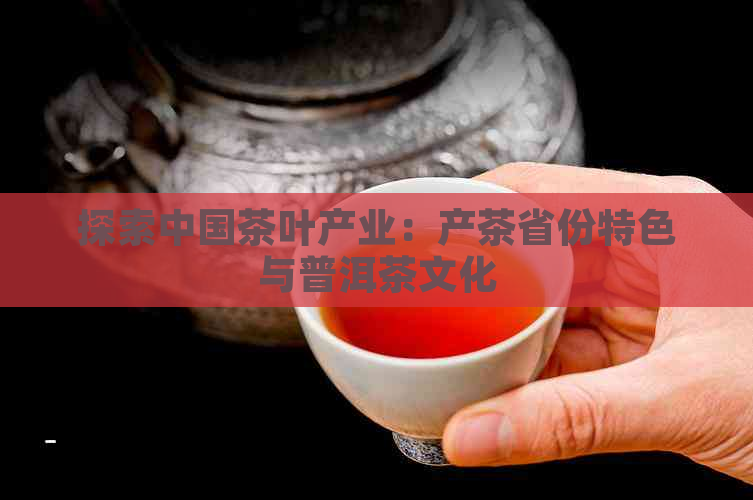 探索中国茶叶产业：产茶省份特色与普洱茶文化