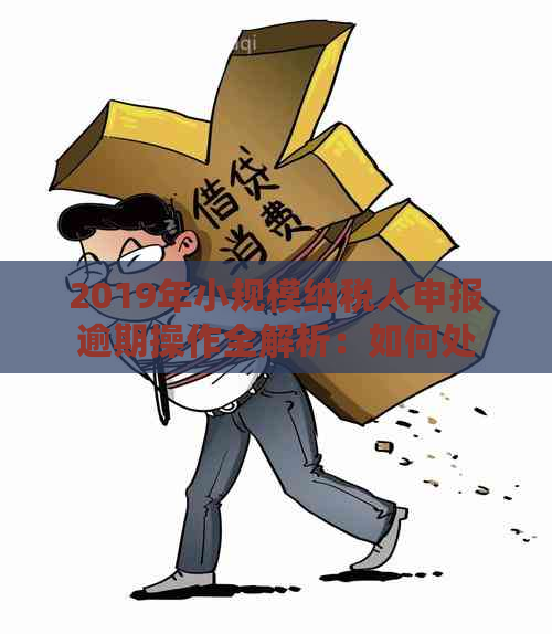 2019年小规模纳税人申报逾期操作全解析：如何处理、影响与解决办法一文搞定