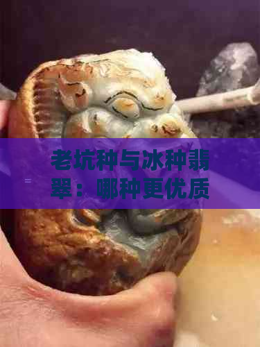 老坑种与冰种翡翠：哪种更优质？收藏家必看的比较分析