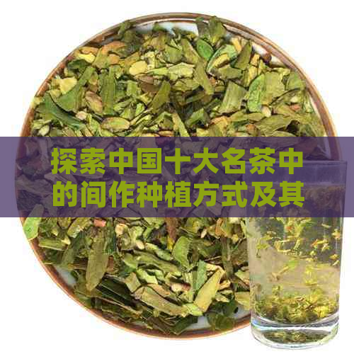 探索中国十大名茶中的间作种植方式及其对茶叶品质的影响