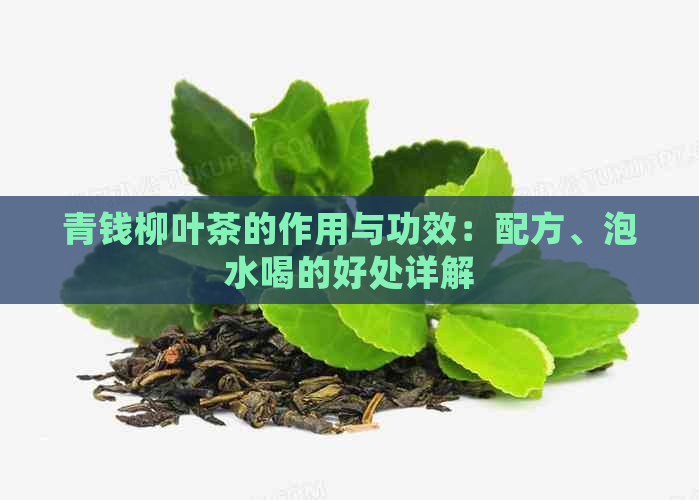 青钱柳叶茶的作用与功效：配方、泡水喝的好处详解