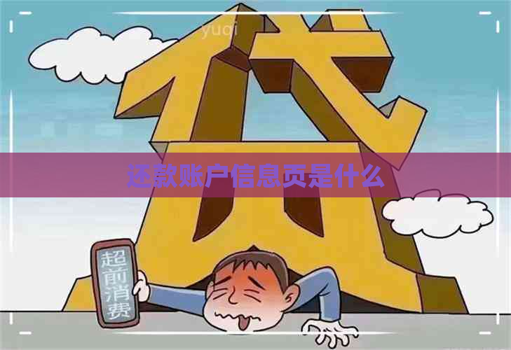 还款账户信息页是什么