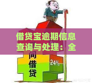 借贷宝逾期信息查询与处理：全面指南及常见问题解答