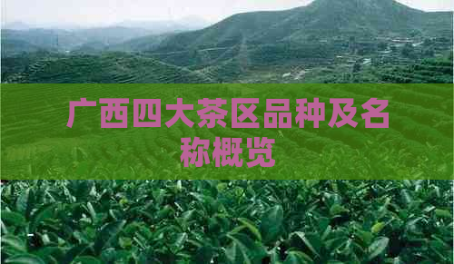 广西四大茶区品种及名称概览