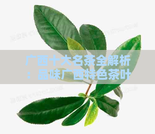 广西十大名茶全解析：品味广西特色茶叶的魅力与功效