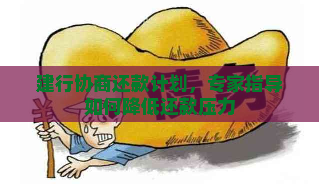 建行协商还款计划，专家指导如何降低还款压力