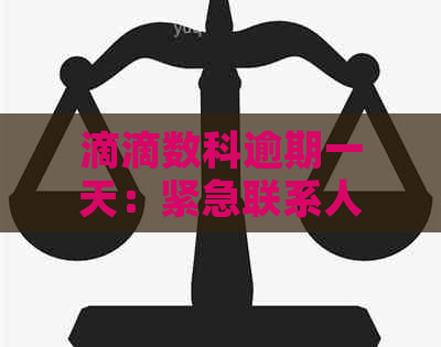 滴滴数科逾期一天：紧急联系人通知机制及影响分析