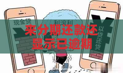 来分期还款还显示已逾期