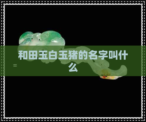 和田玉白玉猪的名字叫什么