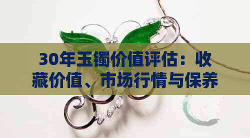 30年玉镯价值评估：收藏价值、市场行情与保养维护全解析