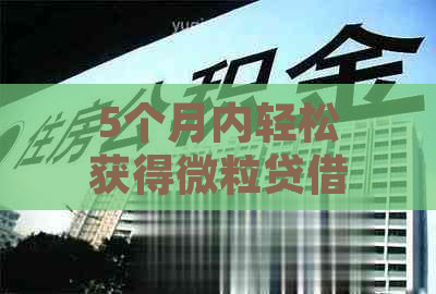 5个月内轻松获得微粒贷借款：高效便捷的短期贷款解决方案