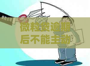 微粒贷逾期后不能主动还款，怎么办？