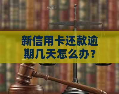 新信用卡还款逾期几天怎么办？逾期后果及解决方法全解析