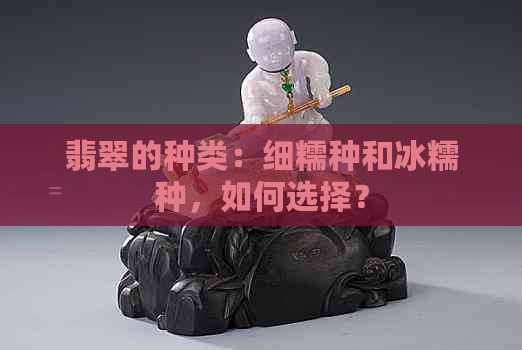 翡翠的种类：细糯种和冰糯种，如何选择？